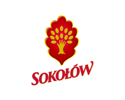 Sokołów