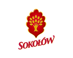Sokołów